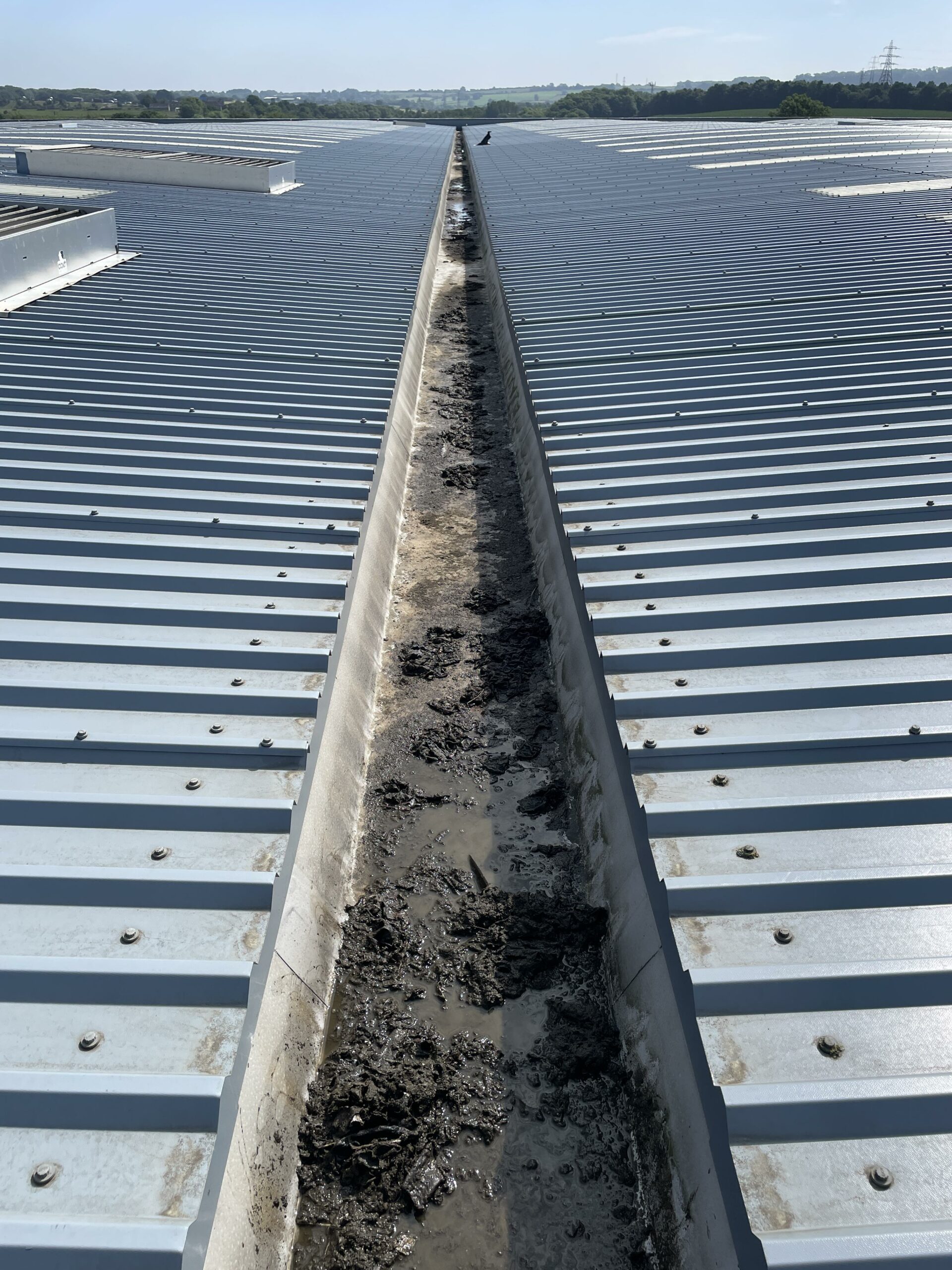 S&E Commercial Gutter Cleaning Services